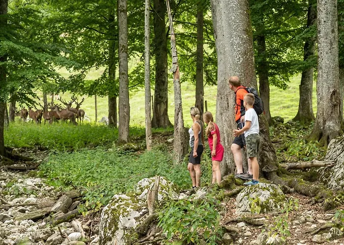 Hotel Kleefeld Strobl